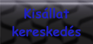  - kisallatkereskedes